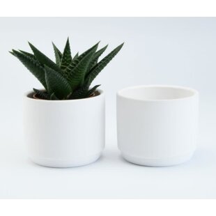 Bloempotje Keramiek Wit