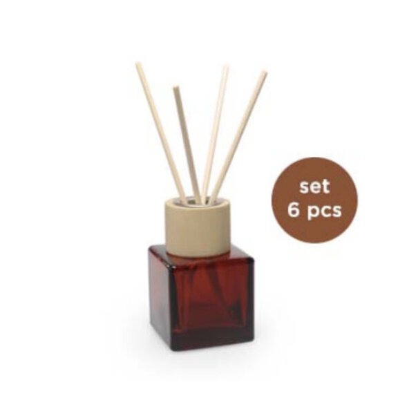 Set/6 kubus TERRA glazen flesjes met HOUTEN top + geurstokjes