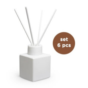 Set/6 kubus WITTE glazen flesjes met WITTE top + geurstokjes