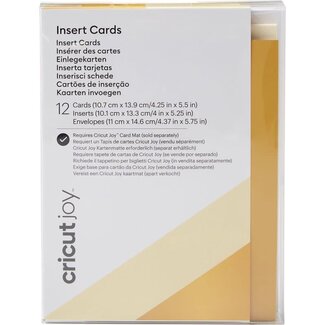 Cricut | Cricut Insert Cards Cream / Holo R20