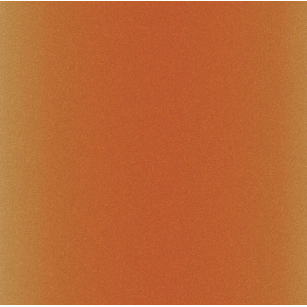 Cricut | Infusible Ink - Animals