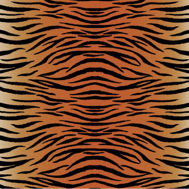 Cricut | Infusible Ink - Animals