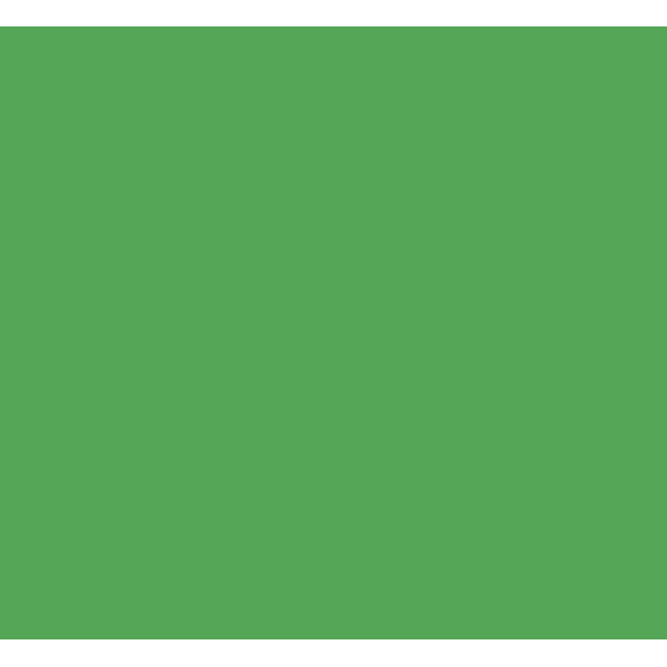 Cricut | Infusible Ink - Bright Green