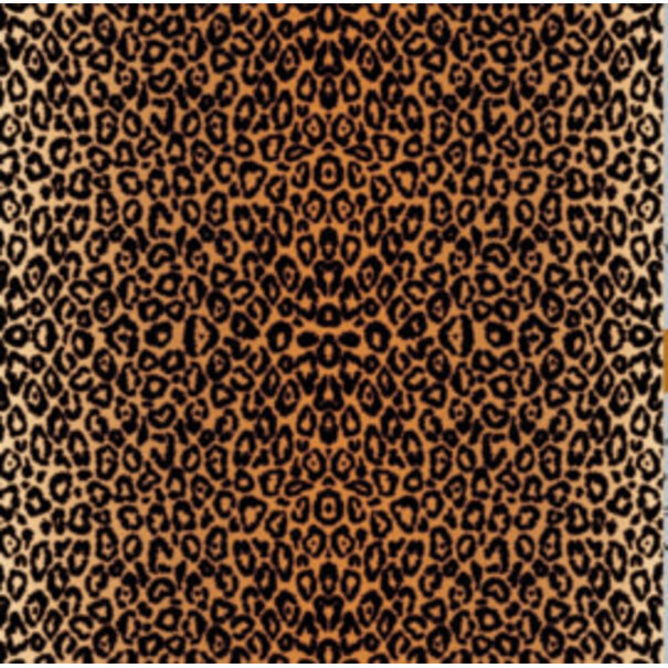 Cricut | Infusible Ink - Leopard