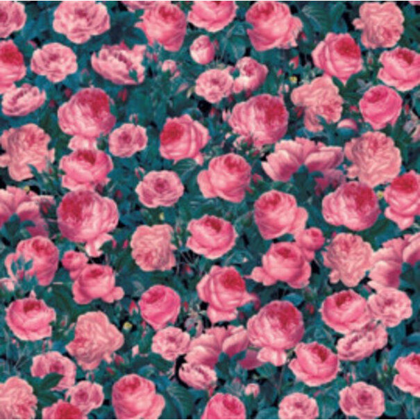 Cricut | Infusible Ink - Cabbage Rose