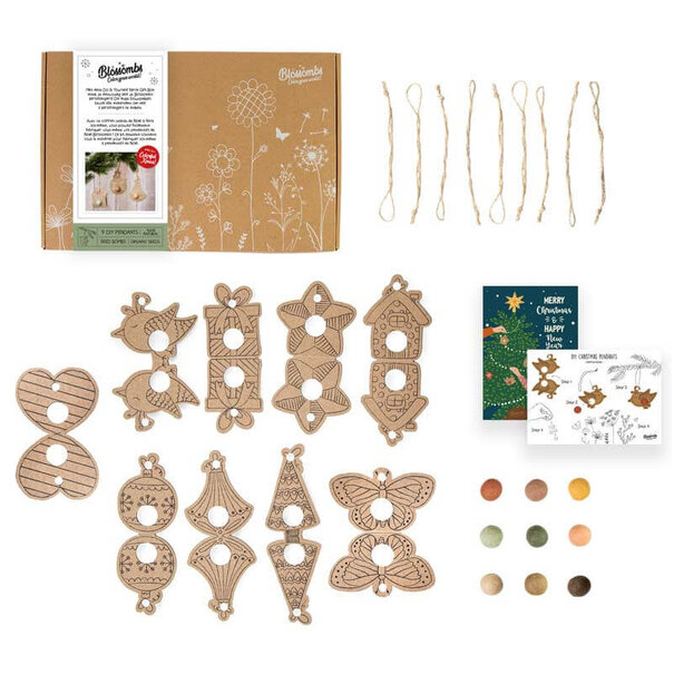 Blossombs | Giftbox Xmas DIY - BLOSSOMBS