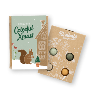 Giftbox Mini Xmas Garden - BLOSSOMBS