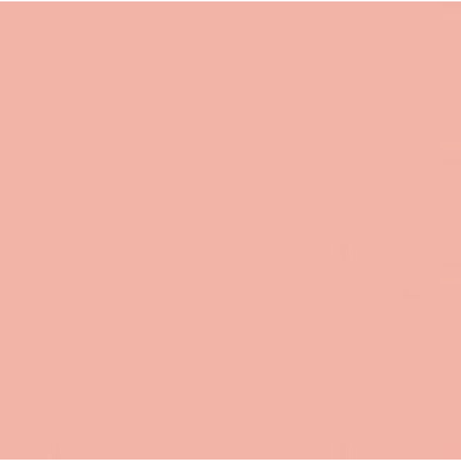 Salmon Pink Flex - 6130
