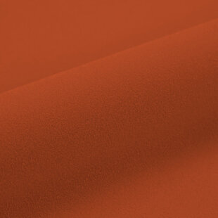 Orange Flock - S0006