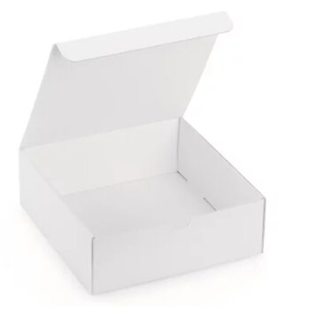 Geschenkdoos Wit (23x23x8cm)