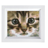 Pixel geschenkverpakking - Poes