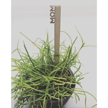 Feeërieke | Plantenprikker MOM