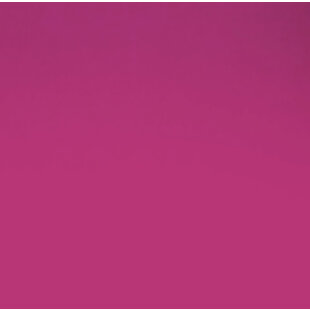 Stretch Fluo Passion Pink Flex - ST0097 (30cmx0,5m)