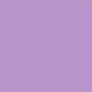 Siser | Stretch Lilac Flex - ST0059 (30cmx0,5m)