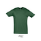 SOL | Men T-shirt - Bottle Green