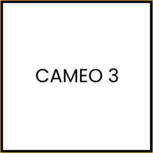 Cameo 3