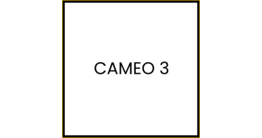 Cameo 3