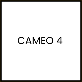 Cameo 4
