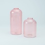 Set Van 2 Glazen Vazen  - Blush