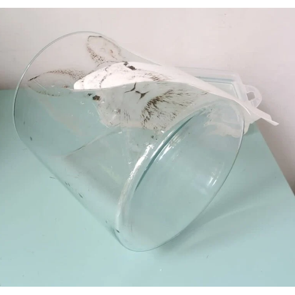 Waterslide Decal - Transparant Laser (10xA4)