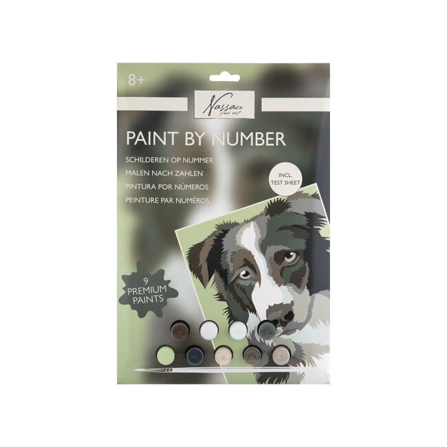 Paint By Number On Cardboard - Hond