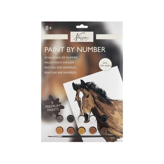 Paint By Number On Cardboard - Paard