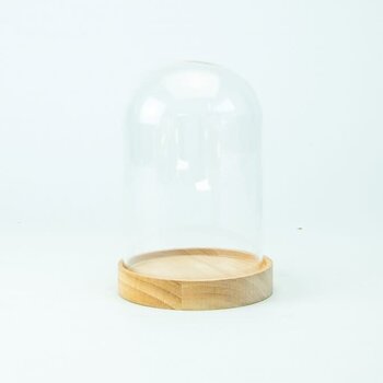 Glazen globe met houten voetstuk 15cm