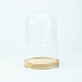 Glazen globe met houten voetstuk 19cm