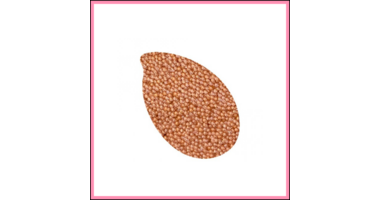 Glass Beads & Glass Roxx