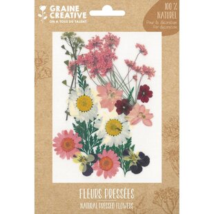 Droogbloemen - Prairie Roos