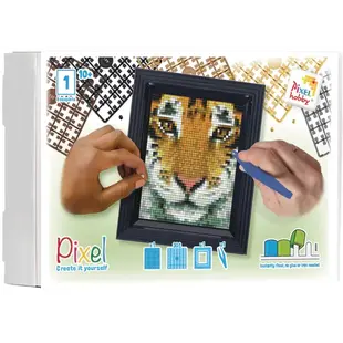 Pixel geschenkverpakking - Tijger