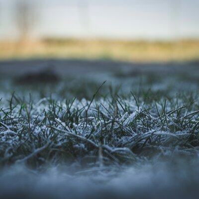 Kan ik mijn robotmaaier tijdens de winter stallen?