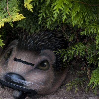 Egels en robotmaaiers