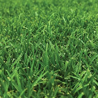 Hoeveel beter is een robotmaaier?