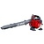 Efco EFCO SA 2500 benzine bladblazer