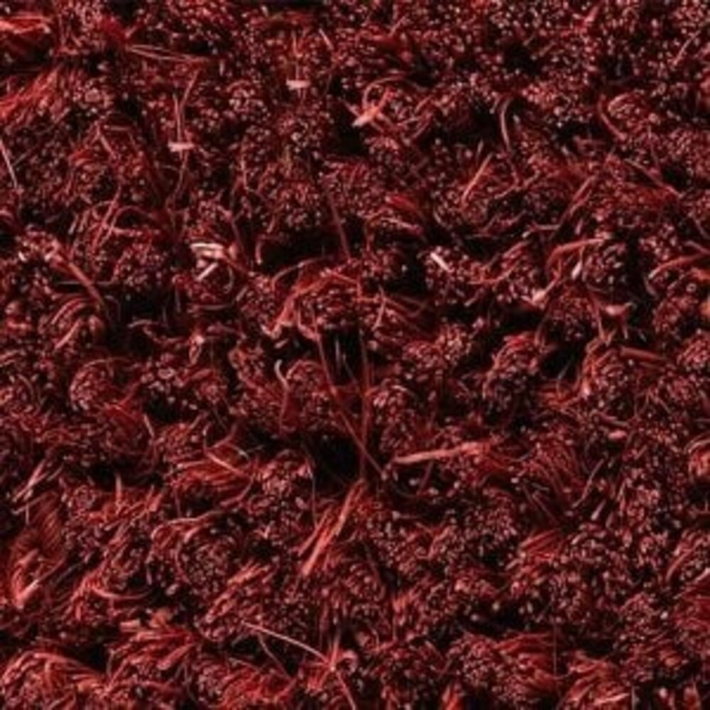 Mattenexpert Kokosmat op maat Ruco 17 mm hoog - 200 cm breed - Bordeaux Mattenexpert Kokosmat op maat Ruco 17 mm hoog - 200 cm breed - Bordeaux