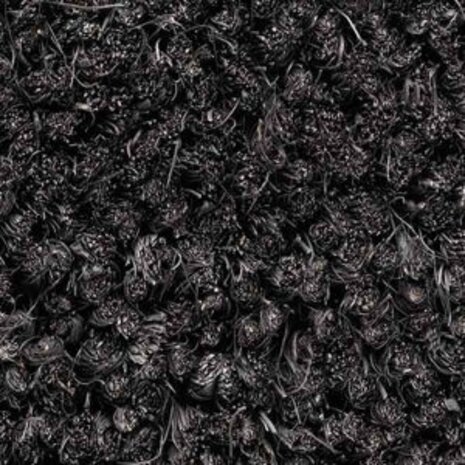 Mattenexpert Kokosmat op maat Ruco 17 mm hoog - 200 cm breed - Zwart kopen