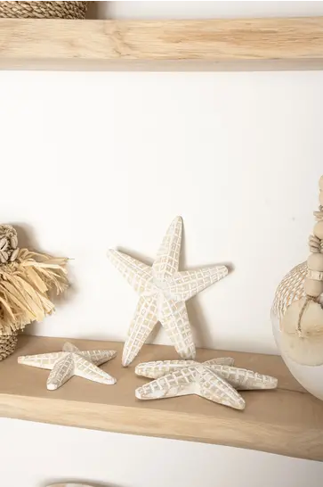 Starfish Set of 3 White