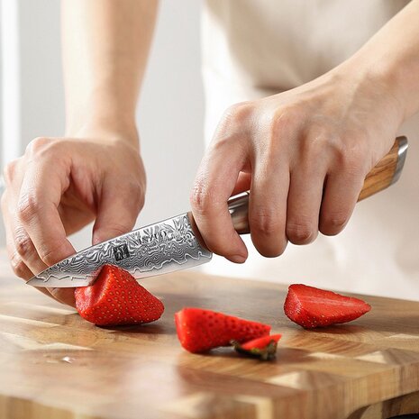 XinZuo Damascus Schilmes - B37 Lan series