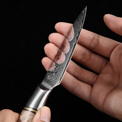 Hezhen Damascus Schilmes - B30 Master series Hezhen Damascus Schilmes - B30 Master series
