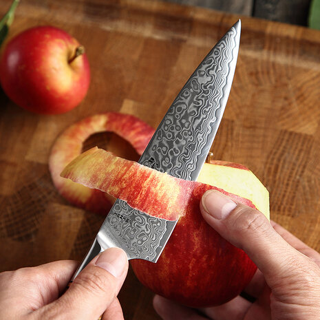 Hezhen Damascus messenset 5-delig - B30 Master series Hezhen Damascus messenset 5-delig - B30 Master series