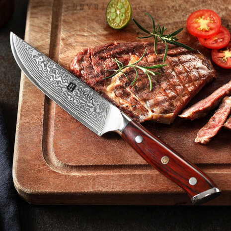 XinZuo Damascus Steakmes - B13R Yu series XinZuo Damascus Steakmes - B13R Yu series