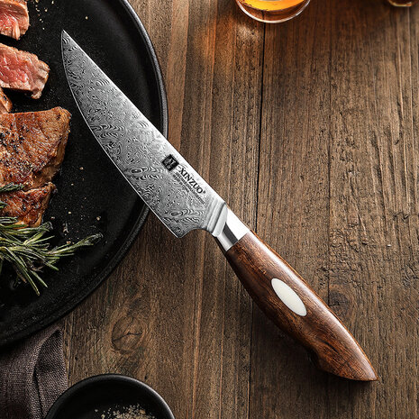 XinZuo Damascus Steakmes - B46D Jiang series XinZuo Damascus Steakmes - B46D Jiang series