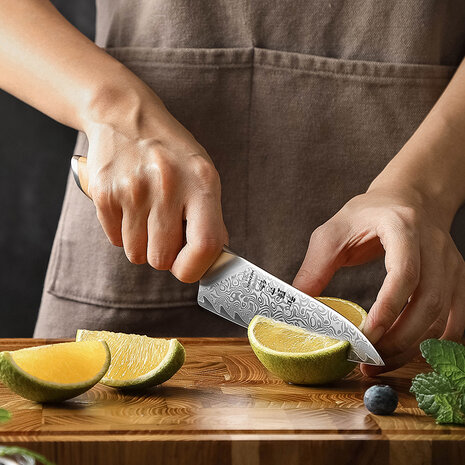 Hezhen Damascus Groentemes - X01 Flagship series Hezhen Damascus Groentemes - X01 Flagship series