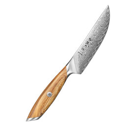 Hezhen Damascus Steakmes (X01 series)