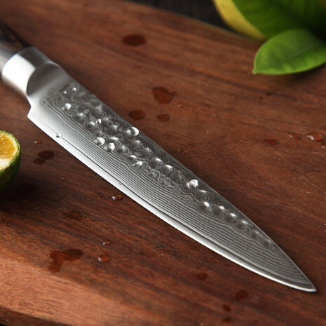 XinZuo Damascus Groentemes - B1H He series XinZuo Damascus Groentemes - B1H He series