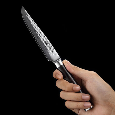 XinZuo Damascus Steakmes - B1H He series XinZuo Damascus Steakmes - B1H He series
