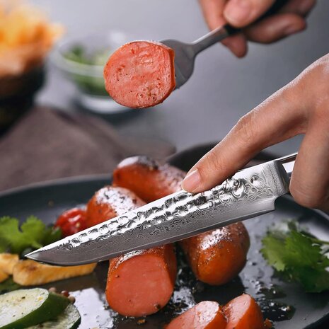XinZuo Damascus Steakmes - B1H He series XinZuo Damascus Steakmes - B1H He series