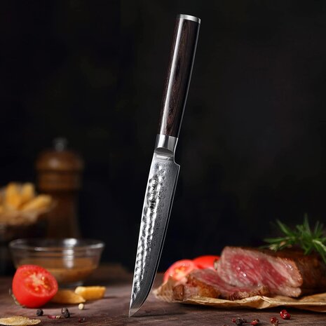 XinZuo Damascus Steakmes - B1H He series XinZuo Damascus Steakmes - B1H He series