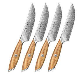 Hezhen Damascus Steakmessen (4) (X01 series)